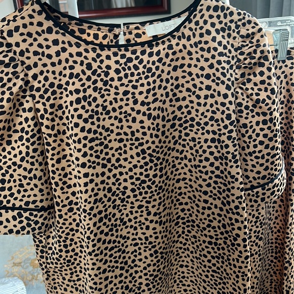 LOFT 2-pc animal print (S) top - Picture 4 of 5